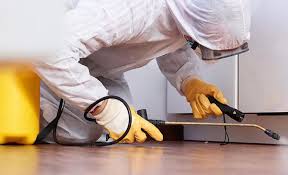 Best Real Estate Pest Inspections  in Milford, DE